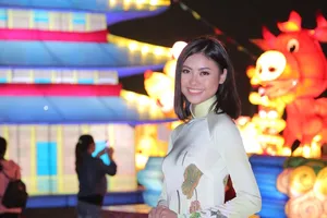 Chụp ảnh với hàng chục đèn lồng kỳ quan thế giới