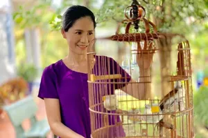 ‘Hạt giống tâm hồn’ chuyển thể thành phim truyền hình