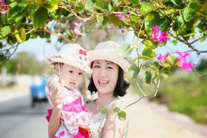 Về xứ Phan ngắm hoa ban đỏ rợp trời 