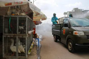 Binh chủng hóa học phun chất gì để khử khuẩn ở TP.HCM?