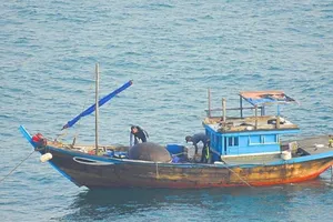 Tạm giữ tàu đánh cá bằng thuốc nổ trên vịnh Đà Nẵng