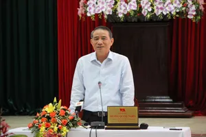 Bí thư Đà Nẵng nói về đầu tư trường đua ngựa, đua chó