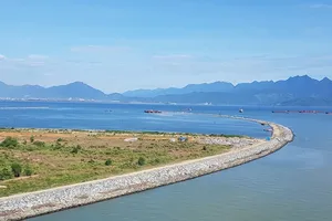 Phản đối gay gắt đề xuất lấn vịnh Đà Nẵng