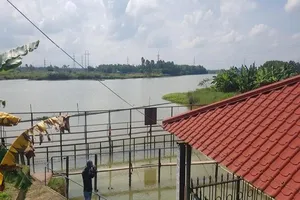 Lo hạn hán, Đà Nẵng đề nghị 4 thủy điện dừng phát điện