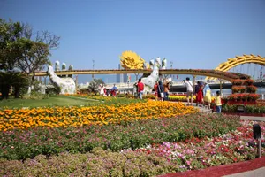 Trẩy hội 'cầu Vàng' bên đường hoa Xuân Đà Nẵng