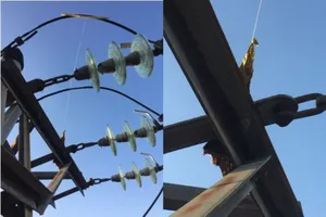 Chiều 30 Tết, nhiều đường tại Đà Nẵng mất điện do… bóng bay