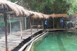 Khu du lịch tại suối Lương vẫn xây 'lụi' bất chấp lệnh cấm