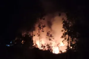 Lửa cháy xuyên đêm ở Quảng Ngãi thiêu hơn 30 ha rừng