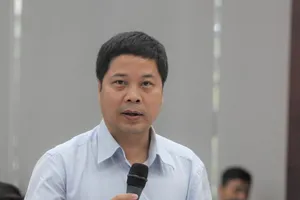 Tư vấn Singapore khuyên Đà Nẵng không nên làm cảng Liên Chiểu