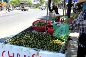 Chủ tịch Đà Nẵng: Xử nghiêm hàng rong bán giữa mùa COVID-19