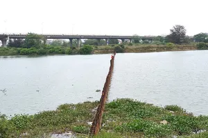 Đề xuất làm đập ngăn mặn kết hợp cầu 410 tỉ đồng