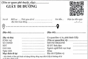 Cách đăng ký mẫu giấy đi đường QRCode mới tại Đà Nẵng