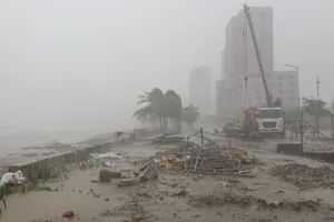 Cây cối ngã đổ, người dân đội mưa to đi mua thực phẩm ở Đà Nẵng