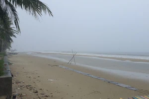 Đà Nẵng khẩn trương ứng phó bão số 8, cảnh báo sạt lở, ngập lụt