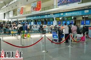 Hàng loạt ‘ông trùm’ đường bay châu Á đổ bộ Đà Nẵng