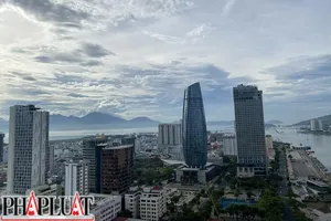 Đà Nẵng cảnh báo khẩn với gần 800 doanh nghiệp