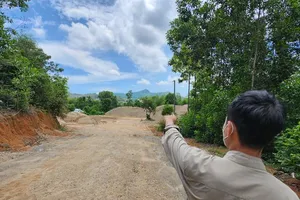 1 công ty bị phạt vì tập kết cát trái phép, xâm phạm hành lang đường bộ