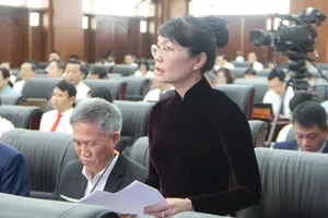 Đại biểu lo lắng vì Đà Nẵng đặt mục tiêu tăng trưởng kinh tế quá cao