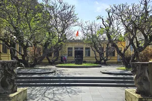 Cận cảnh xuống cấp của Bảo tàng điêu khắc Chăm Đà Nẵng