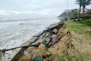 Nhiều dự án công nghiệp nặng, bất động sản... làm suy thoái môi trường biển