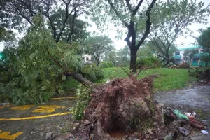 Bão Trà Mi làm hàng chục nhà ở Đà Nẵng tốc mái, hơn 900 cây xanh ngã đổ