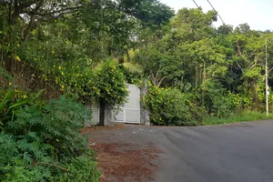 Đà Nẵng thu hồi hơn 7.400 m2 đất tại lô biệt thự L09 ở bán đảo Sơn Trà