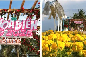 Ngắm đường hoa biển Đà Nẵng rực sắc màu chào đón du khách