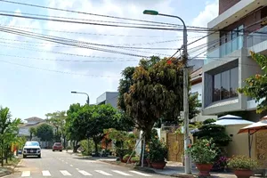 Hủy tạm hoãn xuất cảnh vụ ‘đang làm giáo viên bỗng thành giám đốc nợ thuế’