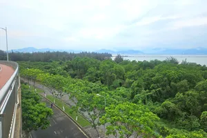 Chủ tịch Đà Nẵng: Sẽ khơi thông nguồn lực tại dự án Đa Phước 181ha