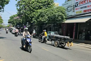 Đà Nẵng đang xem xét xây dựng lộ trình chuyển đổi xe xăng sang xe điện