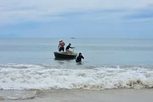 Đà Nẵng: Bão số 5 đang vào, nhiều du khách vẫn tắm biển