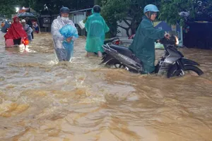 Bão số 12: Đà Nẵng đề nghị người dân tích trữ lương thực đủ cho 3 ngày