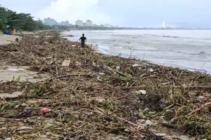 Bờ biển vịnh Đà Nẵng ngập ngụa rác thải sau lũ dữ