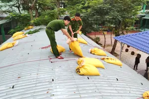 Công an ở Đà Nẵng giúp dân chằng chống nhà cửa, yên tâm ứng phó bão số 13