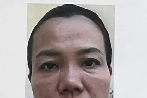 Bịa chuyện cần vốn kinh doanh, hứa trả lãi suất 6%/tháng để chiếm đoạt hơn 10 tỉ đồng