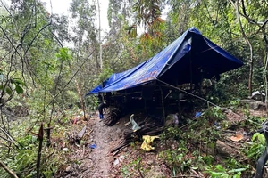 Lên rừng núi hẻo lánh ở Đà Nẵng dựng lán đào vàng trái phép