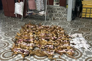 Đột kích lò mổ chó, phát hiện thêm hàng cấm trên tầng 2