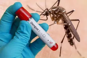 Hà Nội: Thêm 1 người tử vong do sốt xuất huyết