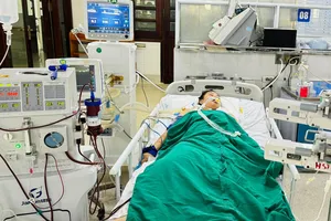 Đang ngủ, cô gái bị rắn cắn suýt tử vong