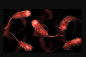 Làm ruộng với vết thương hở ở chân, người đàn ông nhiễm vi khuẩn ăn thịt người