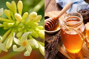 Người đàn ông uống hoa đu đủ ngâm mật ong khiến men gan tăng gấp 1.000 lần, tiên lượng rất xấu
