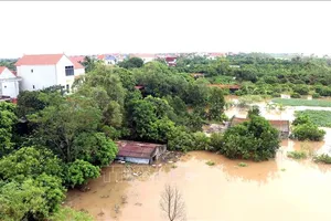 Hưng Yên: Báo động II trên tuyến đê tả sông Hồng