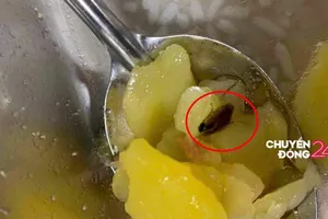 Sinh viên nói cơm có dị vật, Đại học Bách khoa dừng hợp đồng với nhà cung cấp 