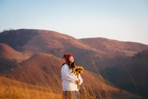 Đỉnh Phượng Hoàng rực rỡ trong mùa cỏ cháy