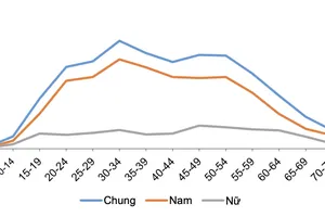 Những con số ám ảnh về tự tử và tai nạn giao thông ở Việt Nam