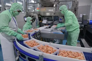 Doanh nghiệp Việt Nam thay đổi chiến lược trong bối cảnh mới