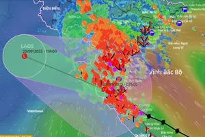 Bộ GD&ĐT chỉ đạo khẩn trước tình trạng 'bão chồng bão hiếm gặp'