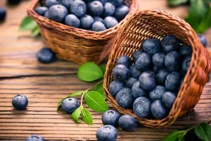 Thực hư quả việt quất chống ung thư