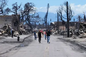 Hawaii: Mất vài thập niên tái thiết sau vụ cháy rừng chết chóc nhất 100 năm ở Mỹ