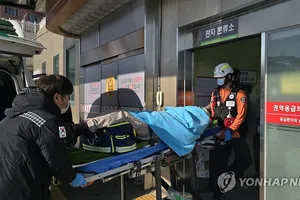 Thảm kịch máy bay Hàn Quốc: 2 người sống sót là tiếp viên; Tin nhắn cuối cùng của hành khách xấu số